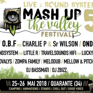 Mash Up The Valley Festival